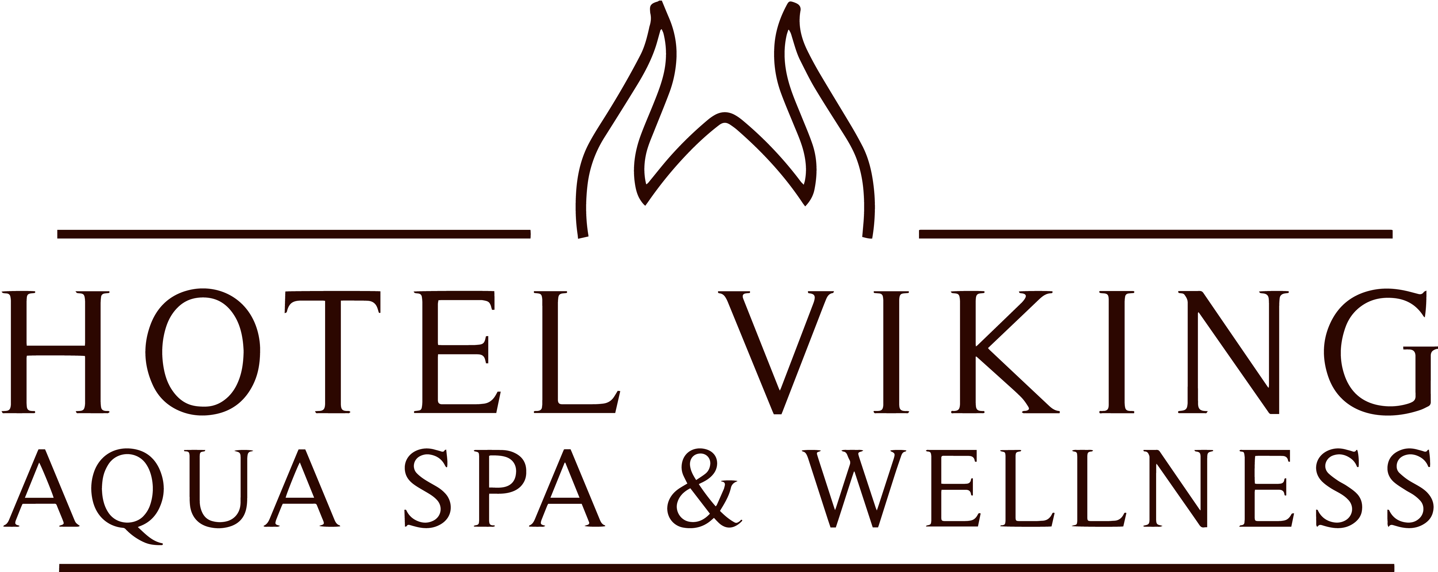 Hotel Viking Håndbold