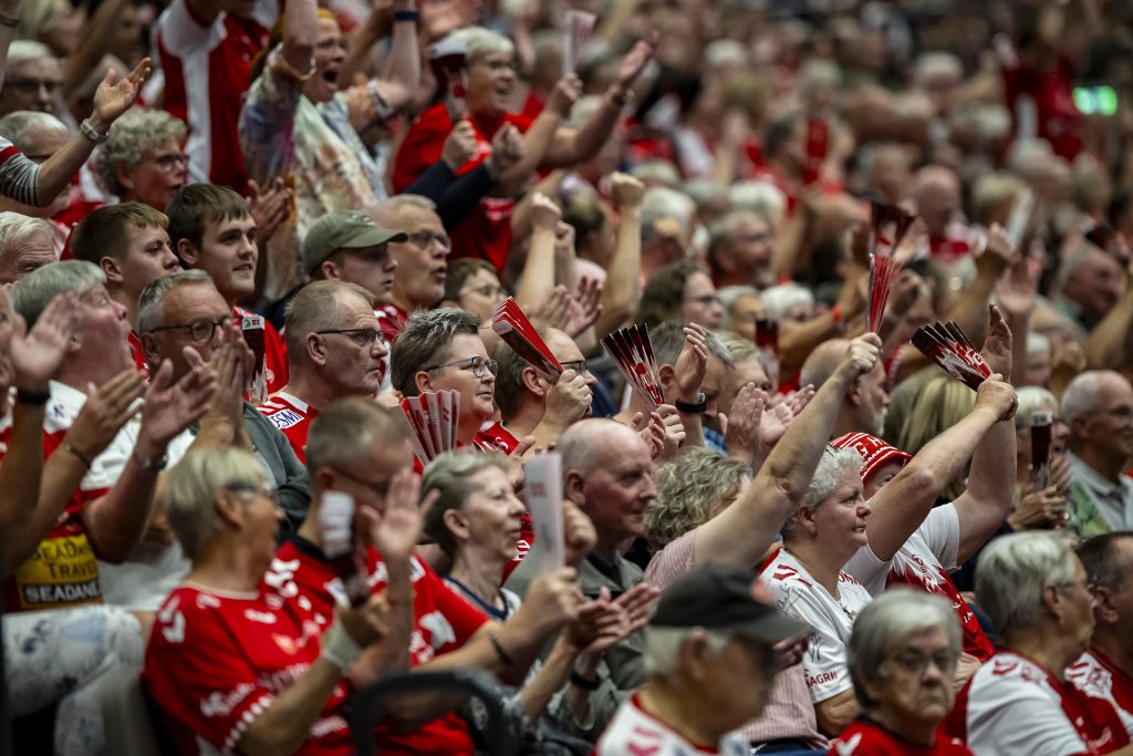 Fans sporting 3